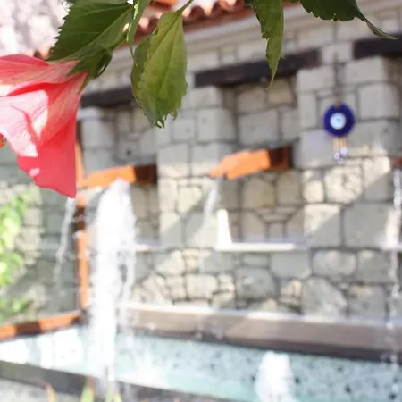 Leylak